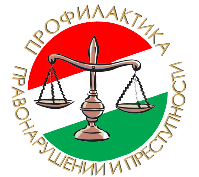 Профилактики безнадзорности и правонарушений несовершеннолетних.